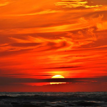 Ferienhaus Geniessen Am Meer Mit Wellnesszugang Egmond aan Zee Dış mekan fotoğraf